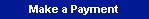 Make a Payment