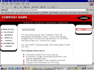 pix1006.gif (42740 bytes)