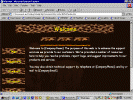 pix1023.gif (147993 bytes)