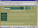 pix1043.gif (30226 bytes)