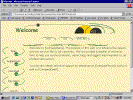 pix1050.gif (103062 bytes)