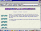 pix1051.gif (207967 bytes)