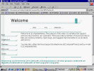 pix1065.gif (28363 bytes)